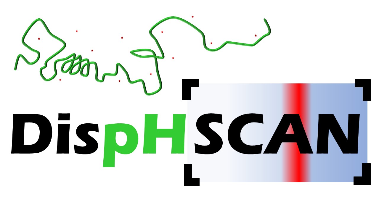 DispHScan logo